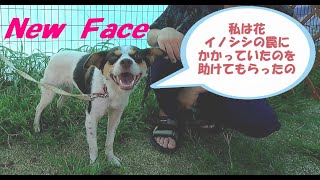 2023.09.03　お見合い会　in「 DogRun＆Cafe　FORTUNA」＆「おまけのちょっとしたお話」