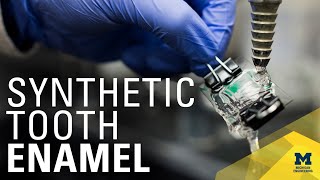 High-performance materials inspired by tooth enamel