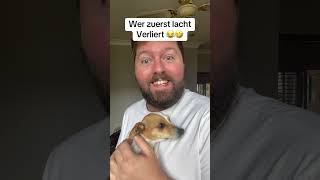 Wer zuerst lacht verliert 😂🤣 #lachen #lustig #funny #haha #lol #shorts