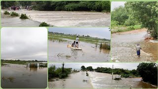 Nellore Lake is Full | Water overflowing on to Jonnawada Road