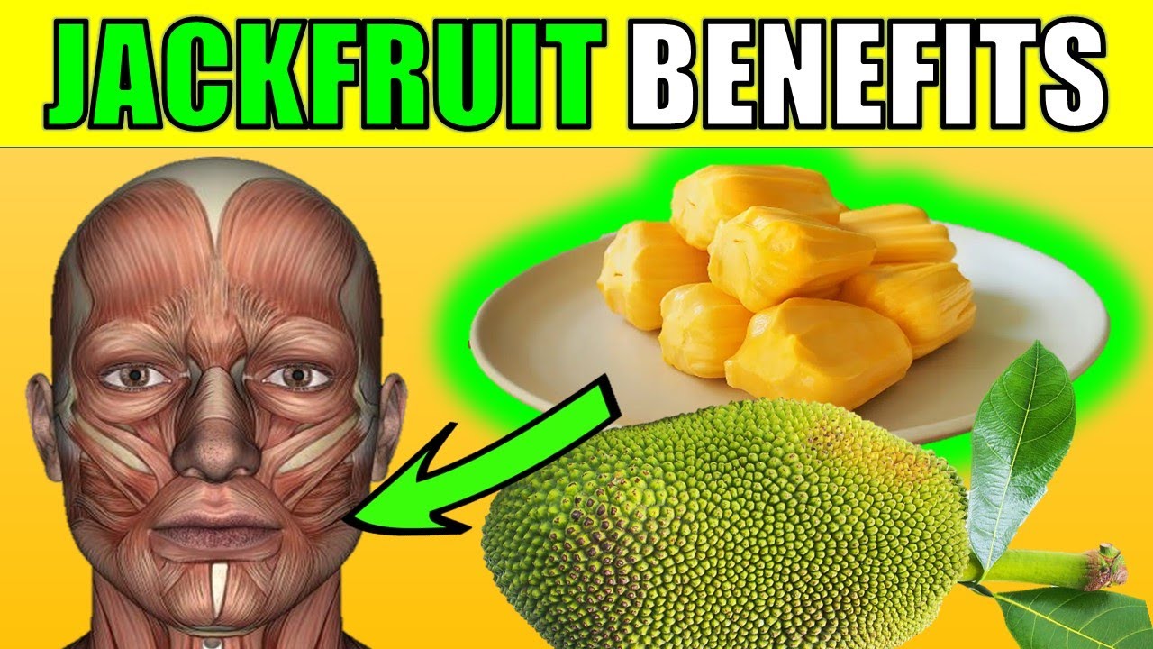 Jackfruit 10 Amazing Health Benefits Of Jackfruit To The Human Body