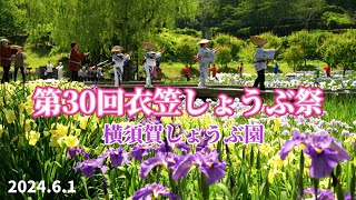 第30回衣笠しょうぶ祭｜大きな踊りの輪！横須賀しょうぶ園 2024年6月1日(土)