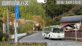 国際興業バス BU04で行く 秋の飯能終点探訪の旅参加記⑫（名郷⇒柏木橋編）