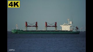 ARKLOW SPIRIT - Shipspotting Germany 🇩🇪 IMO  - River Elbe near City Otterndorf - 4K VIDEO