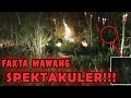 Fakta Mawang || SPEKTAKULER !!!