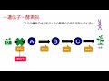 33高校生物「遺伝情報の変化と形質」2022