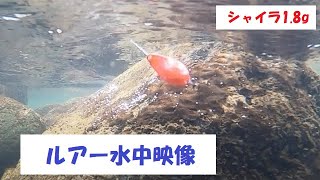 【エリアトラウト】シャイラ1.8gの紹介【ルアー水中映像】