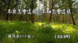 雜阿含977經(2版)5-3.不然怎會這樣=不知怎會這樣[德藏法師](有字幕)