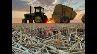 Baling Triticale