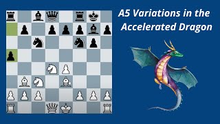 Lesson 8: a5 variations in the Accelerated dragon