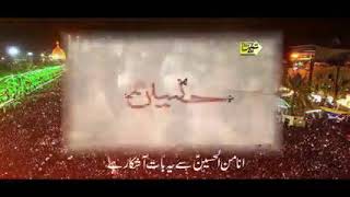 #Saleem Raza nagari noha# imam Hussain as Ana minal Hussain se Ya bat ashekare ha#
