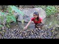 Survival cooking in forest: Catch a lot snail in river - Snail curry spicy delicious