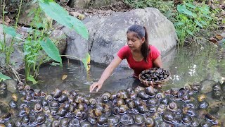 Survival cooking in forest: Catch a lot snail in river - Snail curry spicy delicious