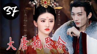 【宫斗权谋剧】《大唐相思令》第37集｜双花姐妹机缘巧合下一起入宫，一步步陷入血雨腥风的皇位之争#chinesedrama #古装剧