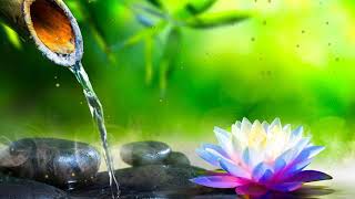 Bamboo Water Fountain + Tibetan Bowls  White Noise for Sleep, Studying, Meditation, Yoga  10 Hours 2