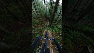 Attempting a Crazy Drop in the forrest! #mtb #mountainbiking #gopro