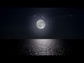 🔴 Deep Sleep Music 24/7, Calming Music, Insomnia, Sleep, Relaxing Music, Study, Sleep Meditation