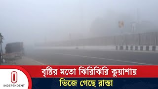 ঘন কুয়াশায় আমের মুকুলসহ বিভিন্ন ফসল নষ্ট হওয়ার শঙ্কা | Cold Wave | Independent TV