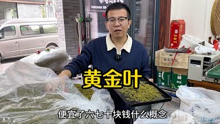 安吉茶价格暴跌，这么漂亮的黄金叶只要300多，谁都预料不到