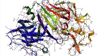 “De la ciencia Básica a los Avances en la Medicina Anti-Infecciosa\