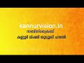 അറപ്പാംതോട് റെയിൽവേ ഗേറ്റിൽ ട്രെയിൻ ഇടിച്ച് പ്ലസ് വൺ വിദ്യാർത്ഥിനി മരിച്ചതിന്റെ സിസിടിവി ദൃശ്യങ്ങൾ