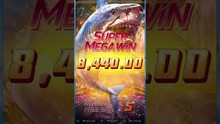 SHARK HUNTER JILI SLOT - FREE SPINS/100 BET