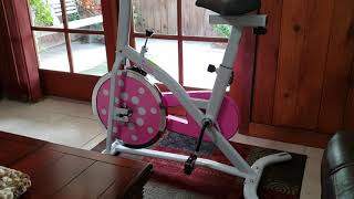 Sunny Health & Fitness stationary bike
