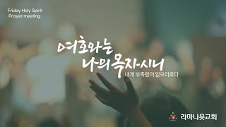 금요성령집회(2.17)/ 파수꾼의 외침에 반응하라(사 21장)/  권성만 목사