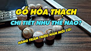 GỖ HÓA THẠCH. VÒNG TAY GỖ HÓA THẠCH ĐẸP VIP. MUA VÒNG GỖ HÓA THẠCH - ANTAGEMS.COM