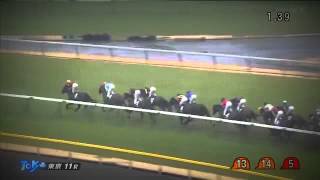 【競馬】 ダイヤモンドS 2016年 トゥインクル フェイムゲーム - マヤノタバラのJRA頭脳