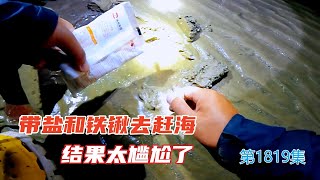 房车安家威海乳山，带着铁锹和盐去赶海，结果尴尬了