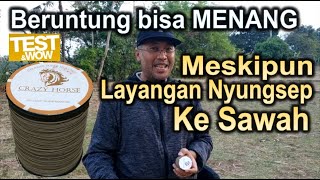 Beruntung Masih bisa Menang! Layangan Nyungsep ke Sawah - Test Gelasan Crazy Horse