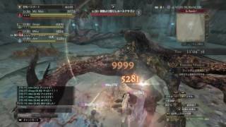 DDON　フィンダム追懐戦記　初PT　ウォリアー視点