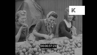 1942 Land Girls Harvesting Crops in Wartime Britain, HD