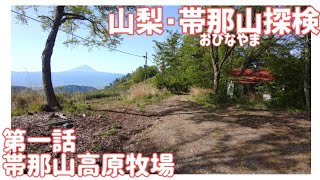 【ドライブ動画】山梨･帯那山探検　その1 帯那山高原牧場