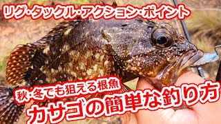 【実釣アリ】近所の漁港でビッグサイズ！？ライトで楽しいカサゴの釣り方、教えます。