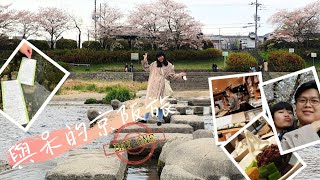 京都大阪行 with 呆 Day 01 (下) ｜糺之森、賀茂御祖神社、鴨川散策、跳烏龜 【日本旅遊Vlog EP.02】  #kyoto #櫻花