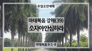 241124｜소자야 안심하라｜김상훈 목사