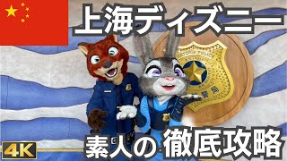 【上海ディズニー】プロジェクションマッピングのナイトショーにズートピアエリアとグッズも見せます！ほぼ初心者の上海ディズニー朝から晩まで１日満喫徹底攻略！