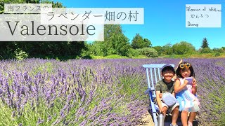 【南仏Diary】ラベンダー畑　10年後も20年後もきっとこの香りで思い出すのはこの場所【Valensole/バランソル】