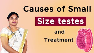 Causes of Small volume testis and treatment | Dr.P.Iswarya Devi M.D(s)