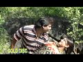 new santali hit gada saon darya latest santali video song gold disc