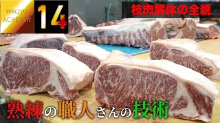 和牛枝肉の解体を見学！最高の和牛が焼肉店に届けられるまでの解体の全貌！