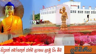 The Birth Place OF Lord Buddha  - බෝසතාණන් වහන්සේ ජන්ම ලාභය ලත් පිංබිම , ලුම්බිණිය