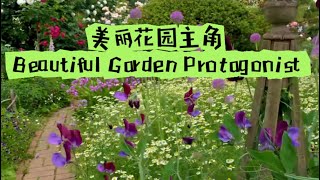 花园成败取决于宿根花卉二The success or failure of a garden depends on the Perennial flowers