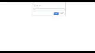 PROMPT BOX JAVASCRIPT FOR LOOP ages happybirthday