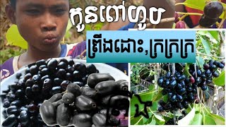 ព្រីងដោះក្របី