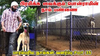 பிரமிக்கவைக்கும் பொன்ராமின் நாய் பண்ணை | Ponram Dog Farm