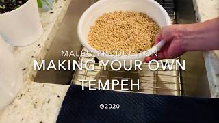Making Tempeh for Your Business