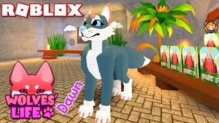 Roblox Wolves Life 3 Ocean Dragon Skins Pack How To Design My